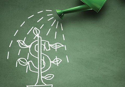 shutterstock_295312181 shutterstock_295312181